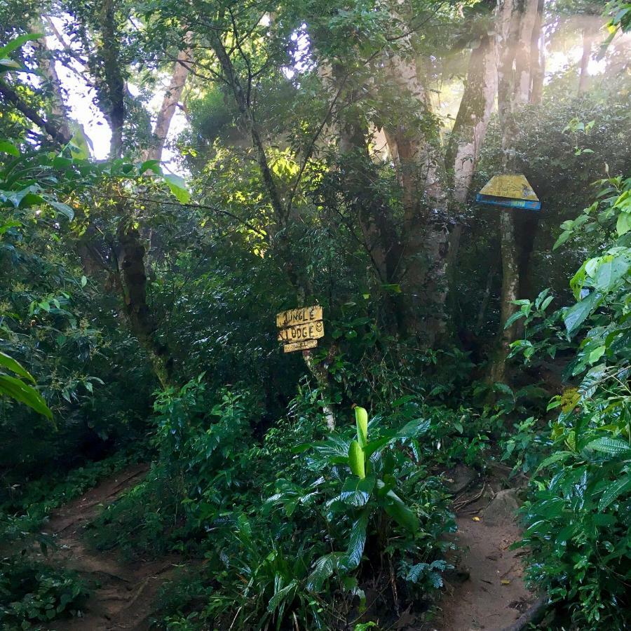 Jungle Lodge Илья-Гранди Экстерьер фото
