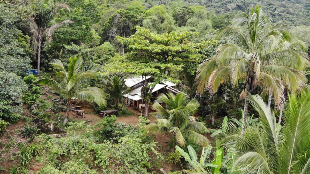 Jungle Lodge Илья-Гранди Экстерьер фото